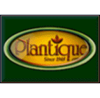 Plantique company logo